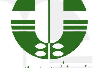 توضیحات رئیس اداره محیط زیست مسجدسلیمان در خصوص وضعیت کیفیت هوای شهرستان مسجدسلیمان
