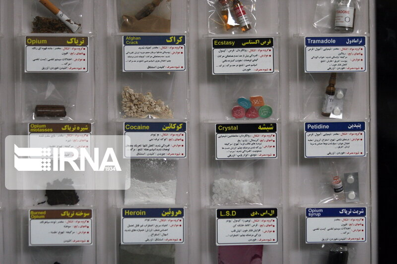 هشدار به خانواده‌ها و نسل جوان/ این گیاهان مخدرند