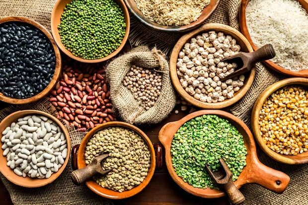 ثبت سفارش انواع حبوبات فردا آغاز میشود ثبت سفارش انواع حبوبات فردا آغاز میشود