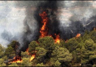 آتشسوزی جنگلها، خاک آلی کشور را هم در کنار درختان از بین برد آتشسوزی جنگلها، خاک آلی کشور را هم در کنار درختان از بین برد