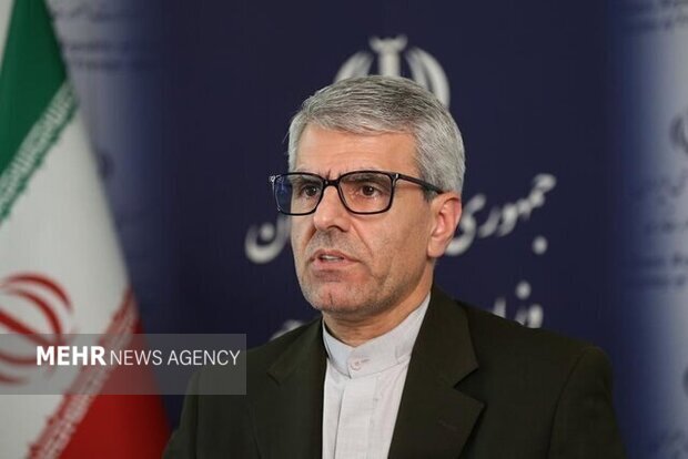 بقائی: مبنای کار مذاکرات «تعهد در مقابل تعهد» است بقائی: مبنای کار مذاکرات «تعهد در مقابل تعهد» است